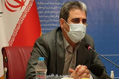 برخی ایده های داخلی صنایع فرهنگی ظرفیت جذب سرمایه خارجی را دارند