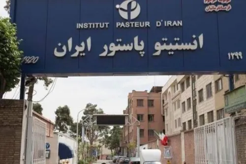 آنچه از تخریب انستیتو پاستور در جنگ نمی دانیم