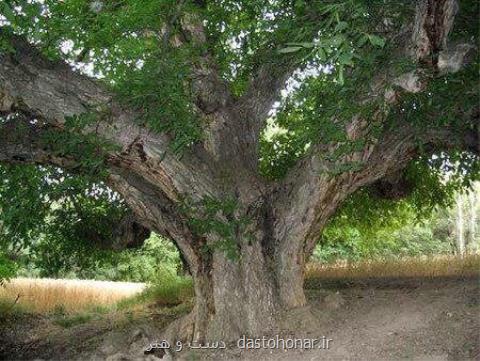 ثبت ۶ اثر طبیعی آذربایجان شرقی در لیست آثار ملی